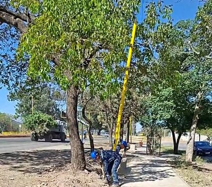 En San Pedro de Jujuy se realiza recambio de luminaria