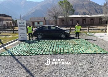 Jujuy: Transportan más de 10 kilos de estupefacientes y más de 225 kilos de hojas de coca en dos procedimientos