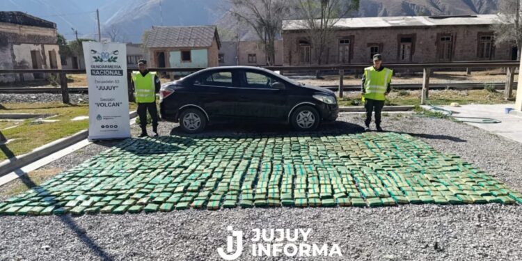 Jujuy: Transportan más de 10 kilos de estupefacientes y más de 225 kilos de hojas de coca en dos procedimientos