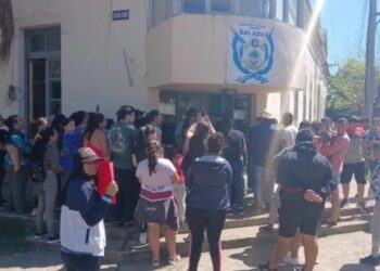 En Corrientes, cocodrilo que se duerme, es cartera