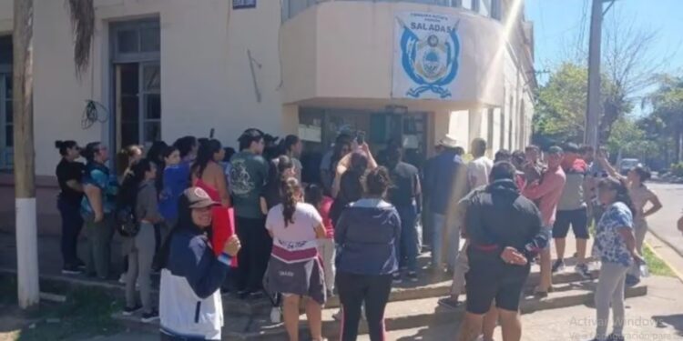 En Corrientes, cocodrilo que se duerme, es cartera