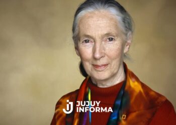 Murió Jane Goodall, la reconocida defensora de los derechos de los animales