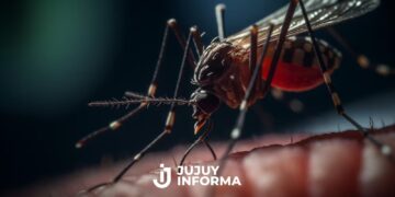 Argentina se prepara para una posible epidemia de fiebre amarilla