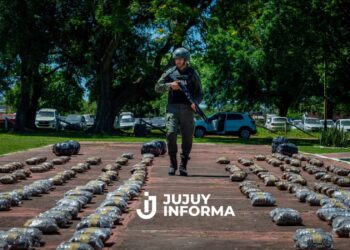 Chaco: Un transportista declaró llevar repelentes en aerosol, pero escondía 338 kilos de marihuana