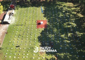 Misiones: decomisan más de nueve toneladas de marihuana, en uno de los operativos más grandes de la historia