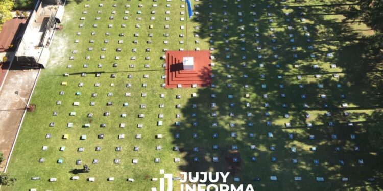 Misiones: decomisan más de nueve toneladas de marihuana, en uno de los operativos más grandes de la historia