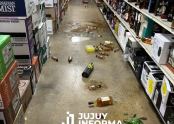 Un mapache se emborrachó en una licorería y fue hallado desmayado en el piso del baño