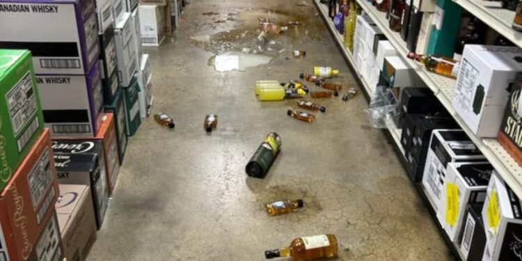 Un mapache se emborrachó en una licorería y fue hallado desmayado en el piso del baño