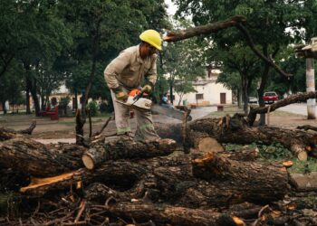 Rápida intervención de las áreas operativas luego del temporal