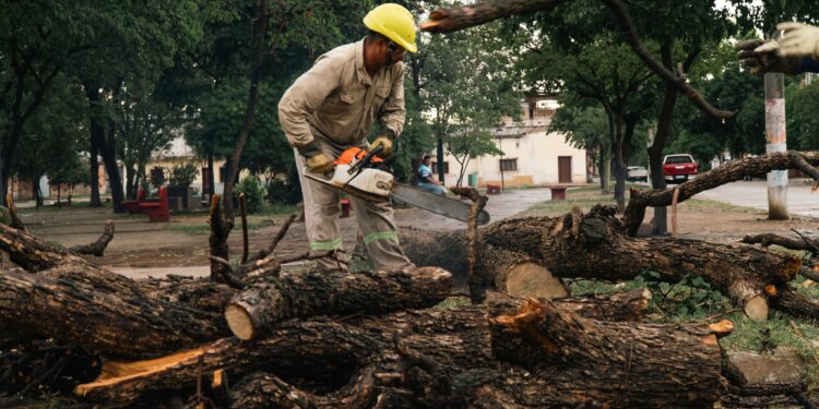 Rápida intervención de las áreas operativas luego del temporal