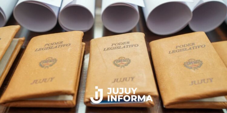 Tomaron juramento los diputados electos en los comicios del mes de mayo