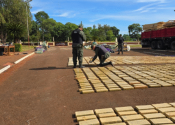 Misiones: Camuflaban más de siete toneladas de marihuana dentro de cofres de madera con destino Buenos Aires