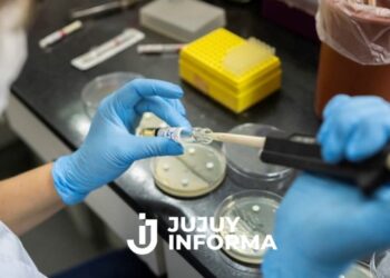 Confirman que la supergripe H3N2 llegó a la Argentina: hay dos adolescentes y un niño infectados