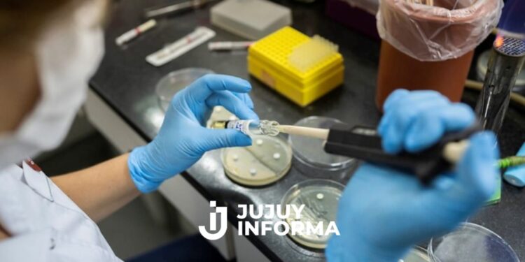 Confirman que la supergripe H3N2 llegó a la Argentina: hay dos adolescentes y un niño infectados