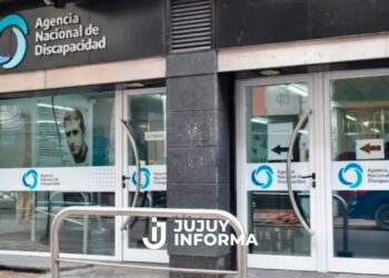 El Gobierno reveló que 178 mil personas figuran fallecidas con el certificado de discapacidad