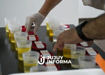 Narcotest: el Gobierno de Salta pedirá exámenes toxicológicos a funcionarios públicos