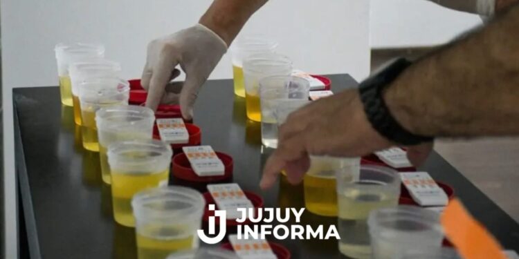 Narcotest: el Gobierno de Salta pedirá exámenes toxicológicos a funcionarios públicos