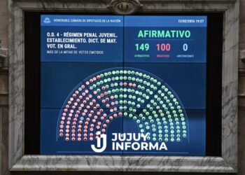 El Gobierno logró la media sanción en Diputados para bajar la edad de imputabilidad a 14 años