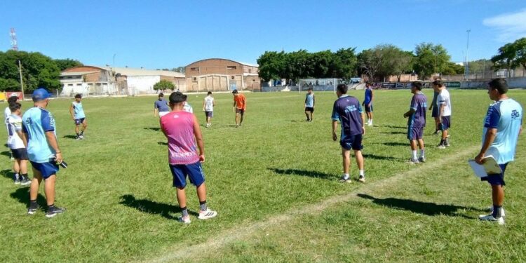 Borrador automático