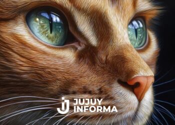 Día Mundial del Gato: por qué se celebra cada 20 de febrero y cuál es su origen