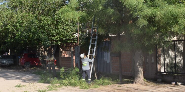 El municipio realizó reducción de copa de árboles en barrio Libertad