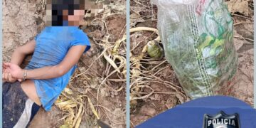 Santa Clara: demoraron a un hombre tras ser sorprendido robando en una finca