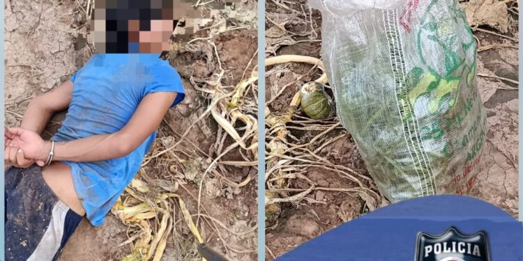 Santa Clara: demoraron a un hombre tras ser sorprendido robando en una finca