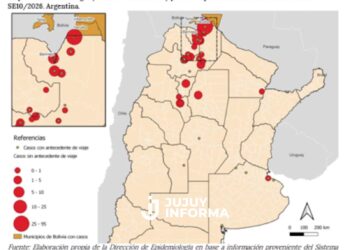 Crecen los casos de fiebre chikungunya en Argentina
