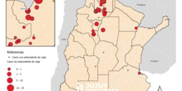 Crecen los casos de fiebre chikungunya en Argentina