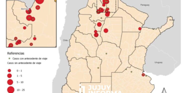 Crecen los casos de fiebre chikungunya en Argentina