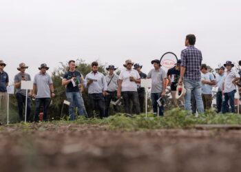 Adiós a la Argentina: una gigante alemana del agro deja el país tras dos décadas
