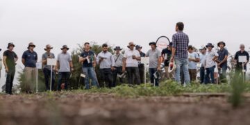 Adiós a la Argentina: una gigante alemana del agro deja el país tras dos décadas