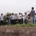 Adiós a la Argentina: una gigante alemana del agro deja el país tras dos décadas