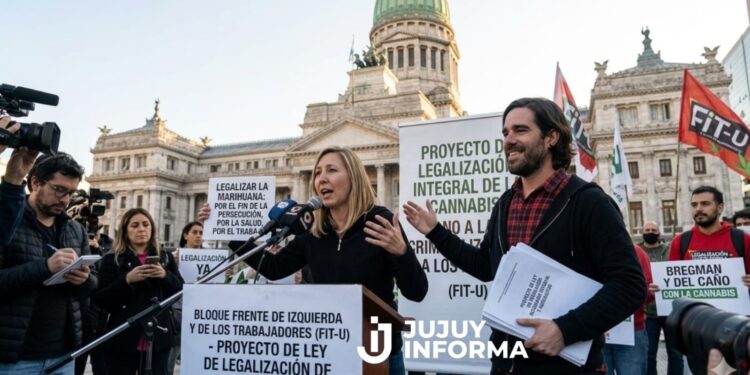 El Frente de Izquierda presentó un proyecto para legalizar el consumo de marihuana en el país