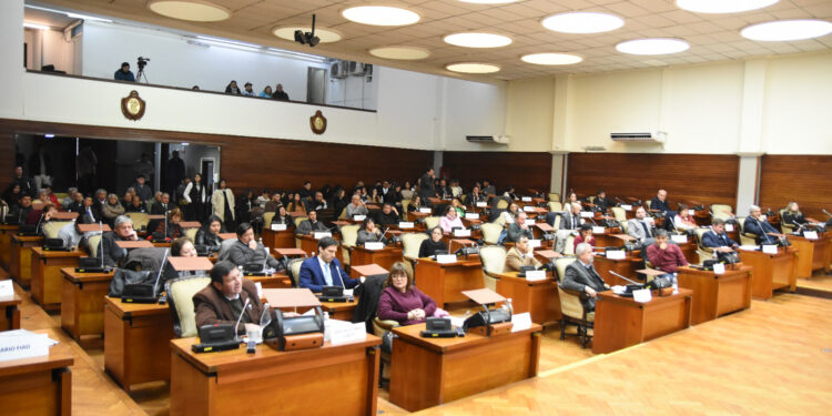 Proyectos de ley, asistencia fiscal y representación internacional: el balance de la Legislatura de Jujuy