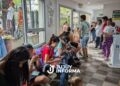 Alerta por dengue: un estudio revela que más de la mitad de la población ya estuvo infectada