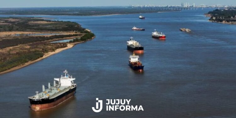 El Gobierno adjudicó la Hidrovía a Jan de Nul, en la mayor privatización de la era Milei