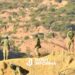 Seis muertos al estrellarse una avioneta militar en el centro de Bolivia