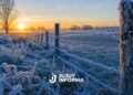 Ola de frío polar en Argentina: alertas, nieve, heladas y temperaturas bajo cero en varias provincias