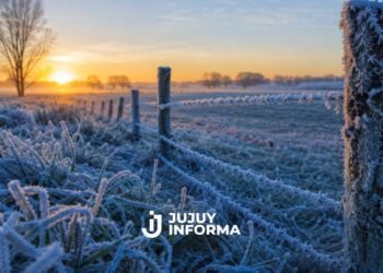 Ola de frío polar en Argentina: alertas, nieve, heladas y temperaturas bajo cero en varias provincias