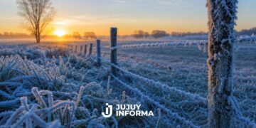 Ola de frío polar en Argentina: alertas, nieve, heladas y temperaturas bajo cero en varias provincias
