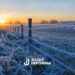 Ola de frío polar en Argentina: alertas, nieve, heladas y temperaturas bajo cero en varias provincias