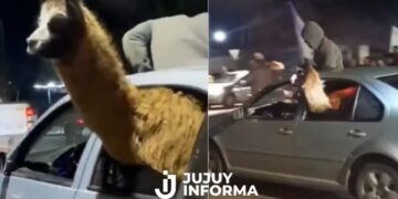 Denunciaron al agente penitenciario que llevó una llama adentro de un auto para festejar el triunfo de Argentina