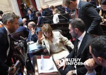 El Gobierno busca aprobar la ley de Propiedad Privada en el Senado