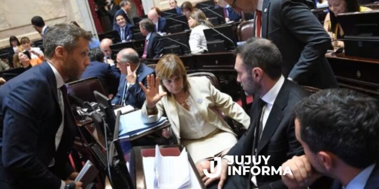 El Gobierno busca aprobar la ley de Propiedad Privada en el Senado