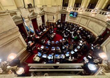 Senado: el Gobierno aprobó la ley de propiedad privada, pero tuvo que quitar otro capítulo