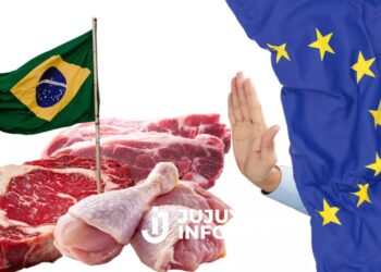 Golpe a la carne brasileña: la Unión Europea suspende las importaciones y despierta la tensión con el Mercosur