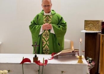 El Vaticano difundió las primeras fotos del papa León XIV tras la operación por cáncer y confirmó una “mejora constante” en su salud