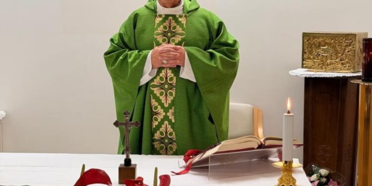 El Vaticano difundió las primeras fotos del papa León XIV tras la operación por cáncer y confirmó una “mejora constante” en su salud